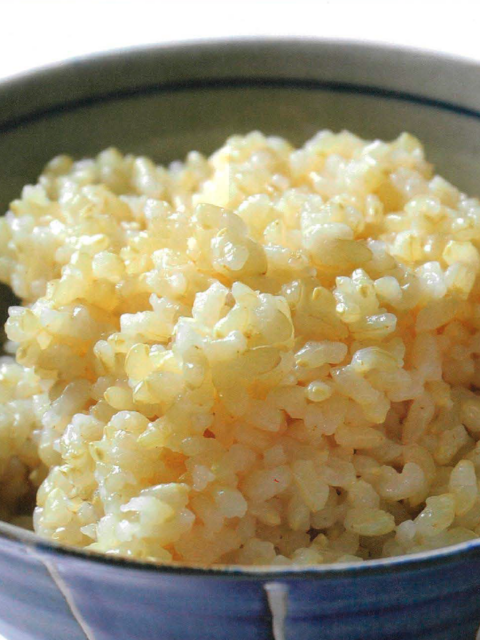 iVario和食レシピ玄米